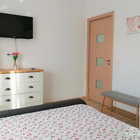Cozy Apartment Bujorilor Suceava Luaran gambar