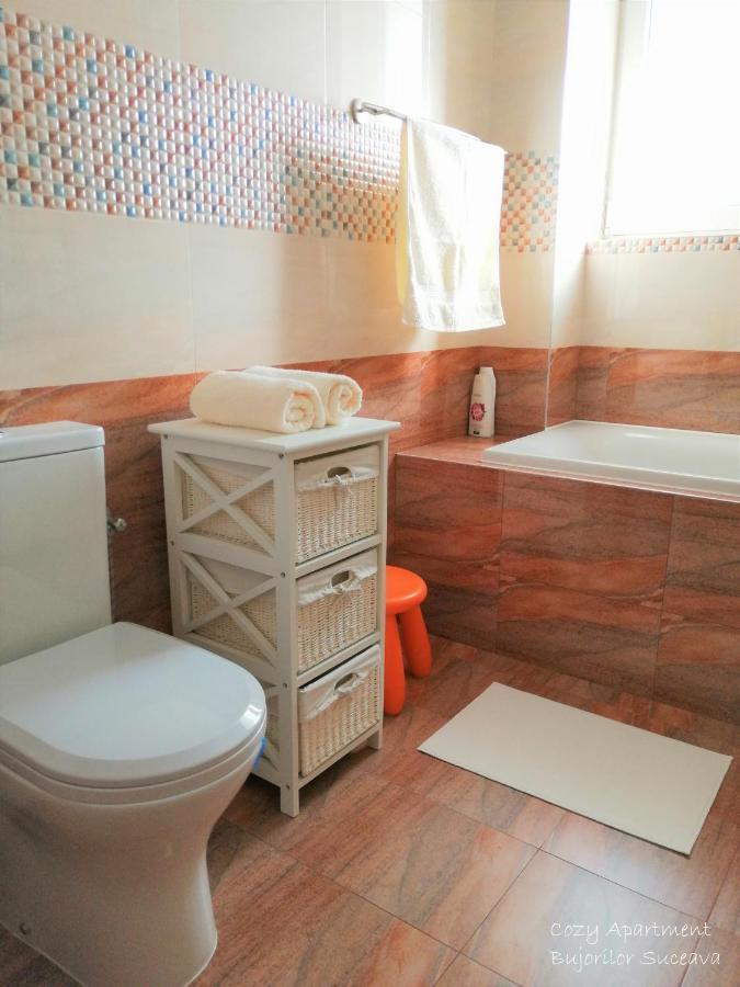Cozy Apartment Bujorilor Suceava Luaran gambar