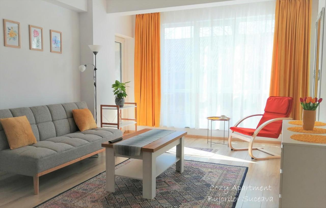 Cozy Apartment Bujorilor Suceava Luaran gambar