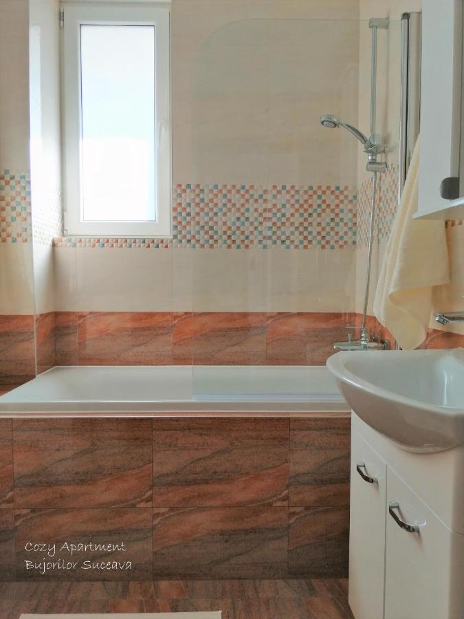 Cozy Apartment Bujorilor Suceava Luaran gambar