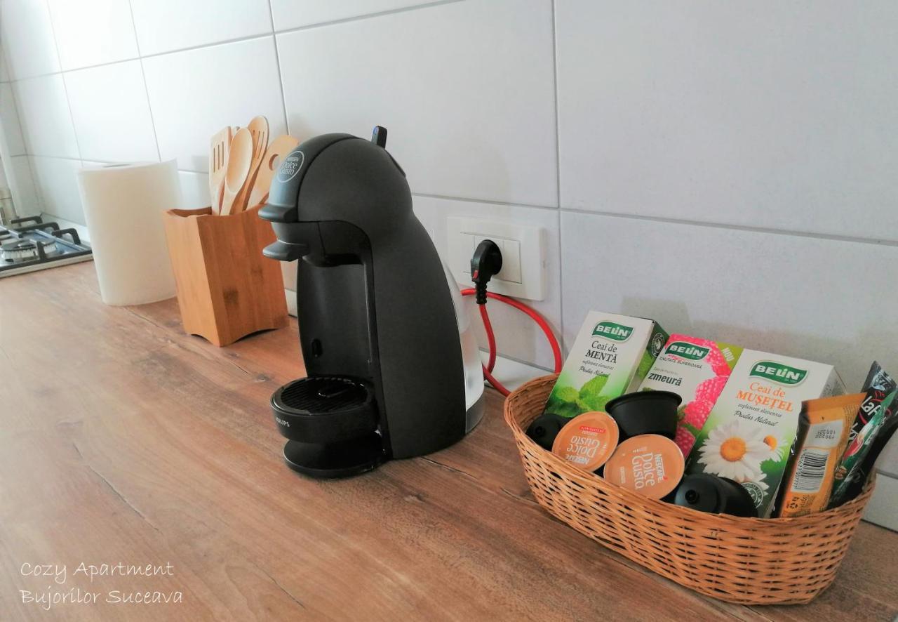 Cozy Apartment Bujorilor Suceava Luaran gambar