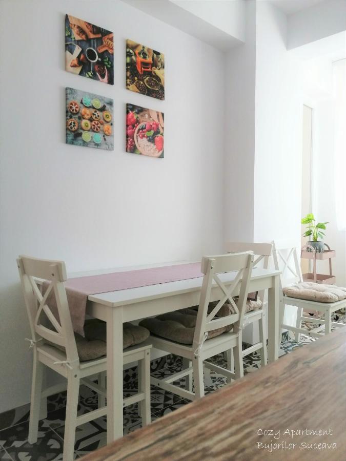 Cozy Apartment Bujorilor Suceava Luaran gambar