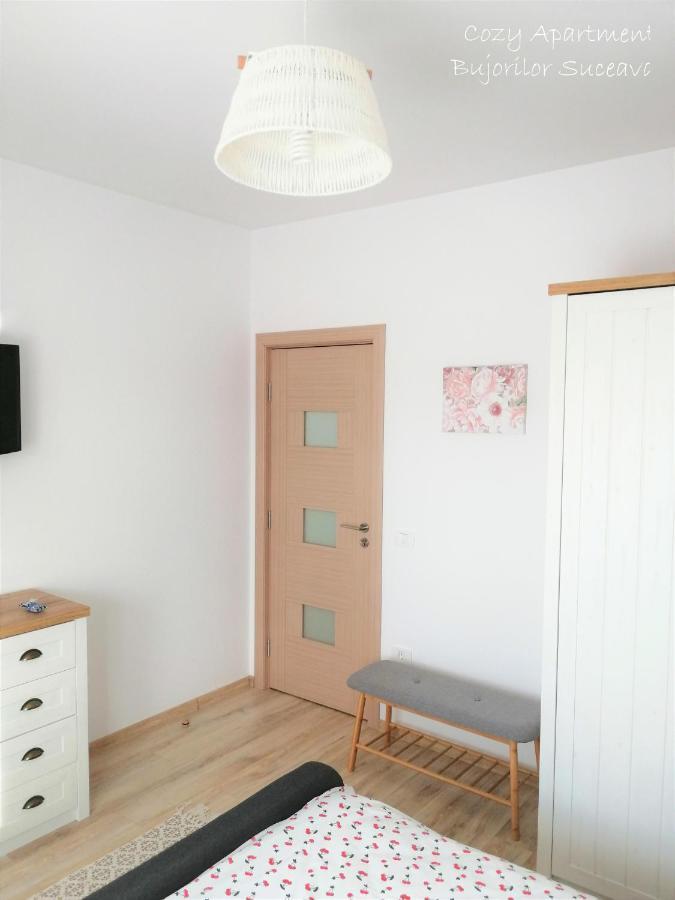 Cozy Apartment Bujorilor Suceava Luaran gambar