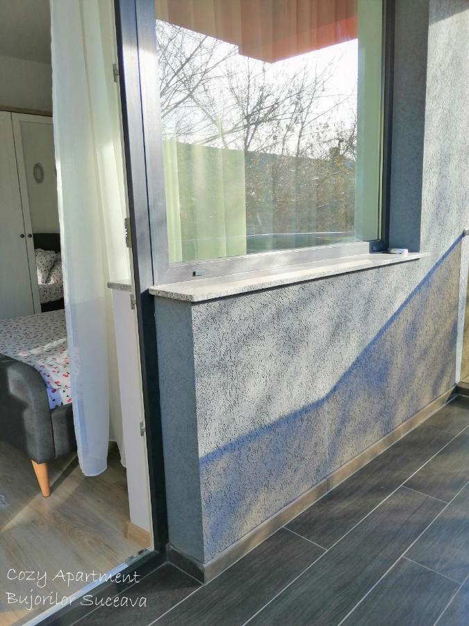 Cozy Apartment Bujorilor Suceava Luaran gambar