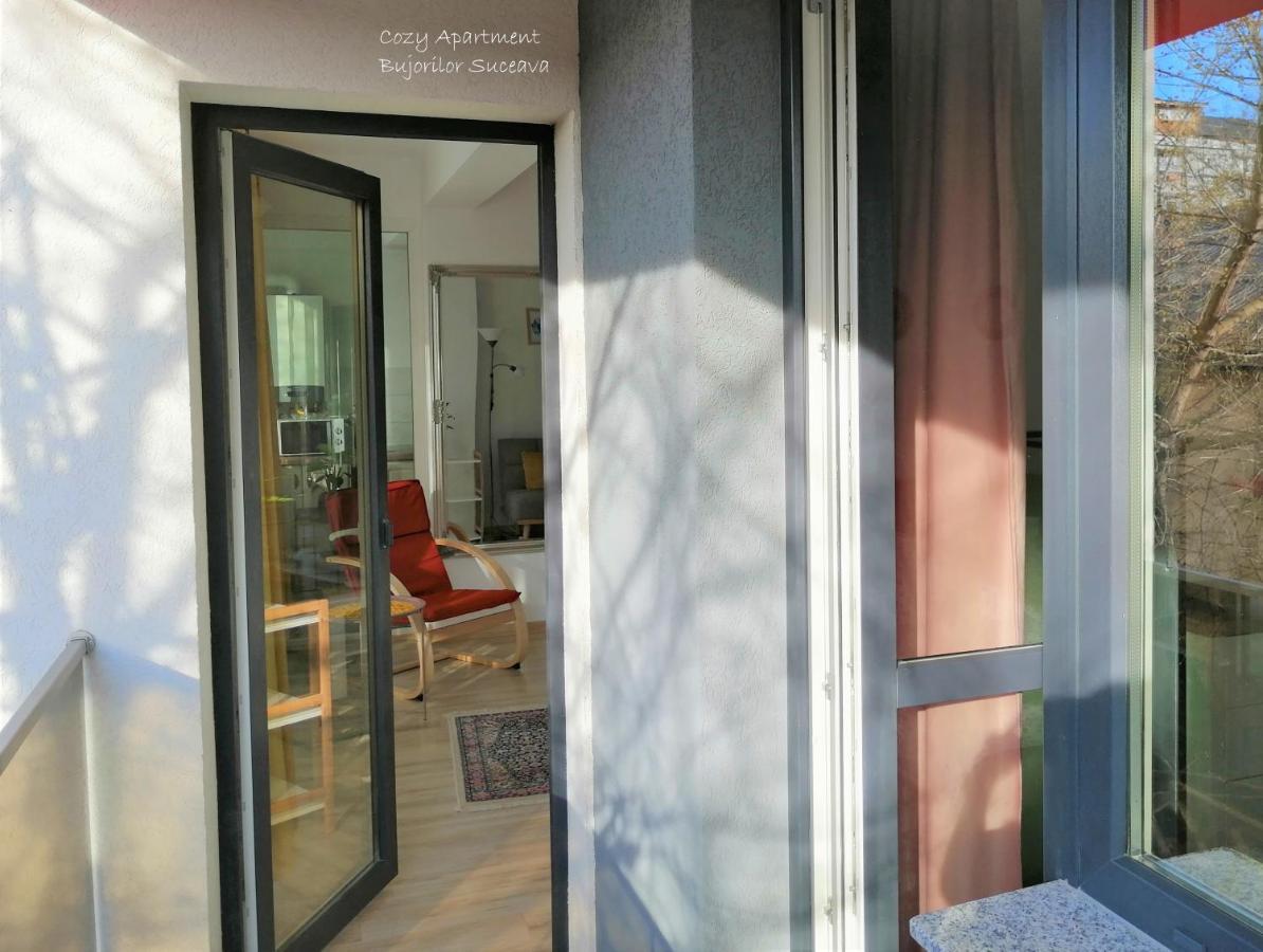 Cozy Apartment Bujorilor Suceava Luaran gambar