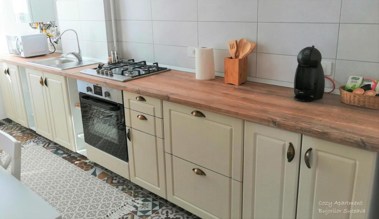 Cozy Apartment Bujorilor Suceava Luaran gambar