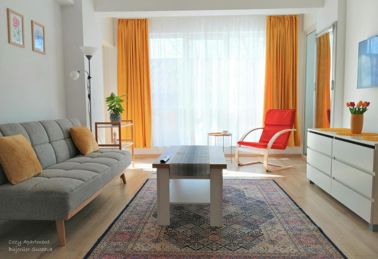Cozy Apartment Bujorilor Suceava Luaran gambar
