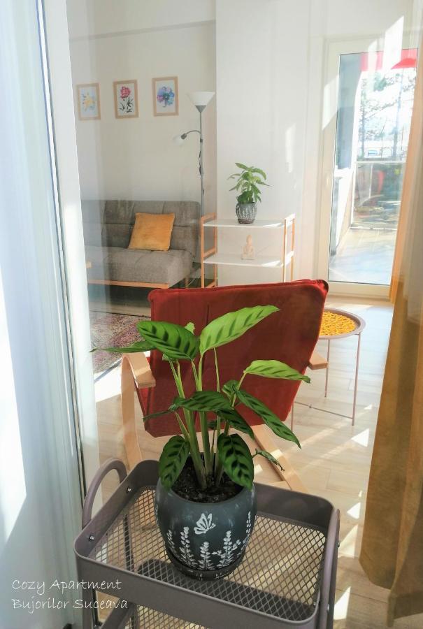 Cozy Apartment Bujorilor Suceava Luaran gambar