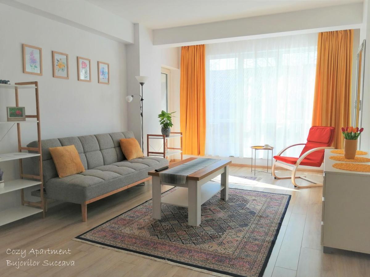 Cozy Apartment Bujorilor Suceava Luaran gambar