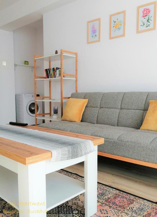 Cozy Apartment Bujorilor Suceava Luaran gambar