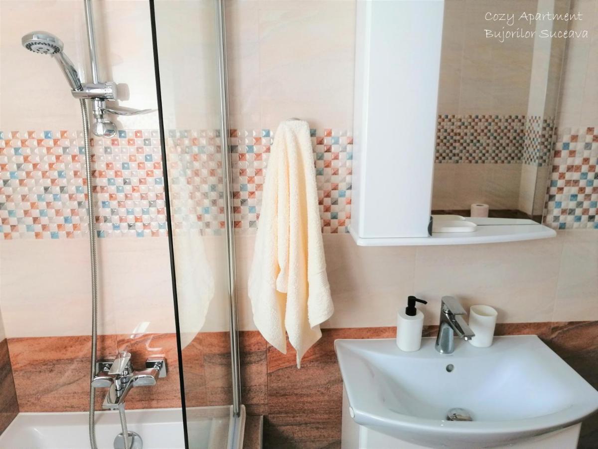 Cozy Apartment Bujorilor Suceava Luaran gambar