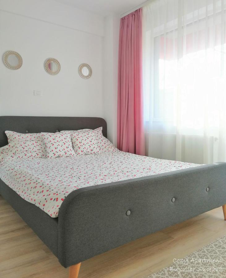 Cozy Apartment Bujorilor Suceava Luaran gambar