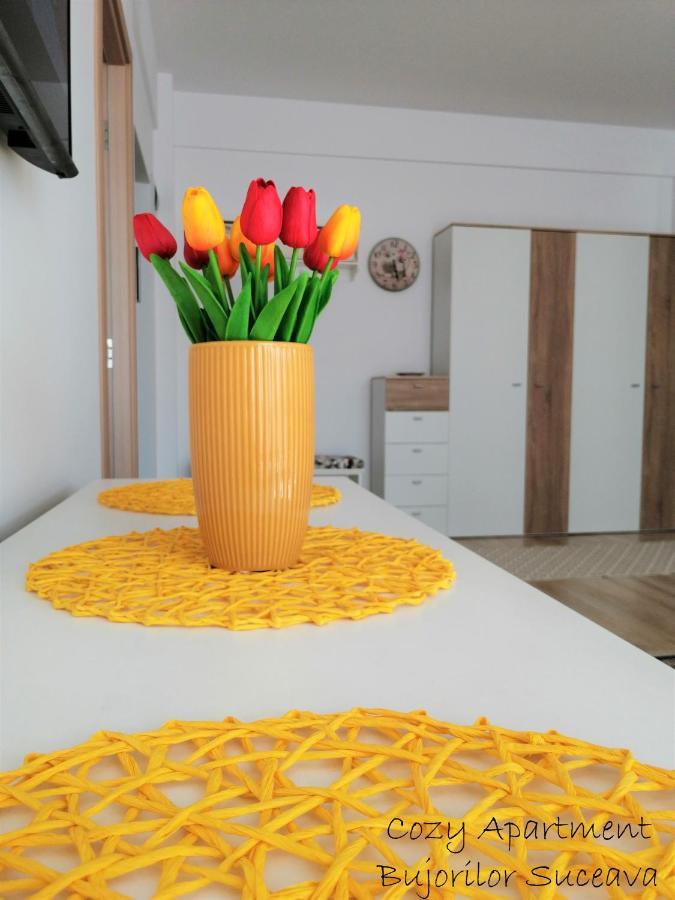 Cozy Apartment Bujorilor Suceava Luaran gambar