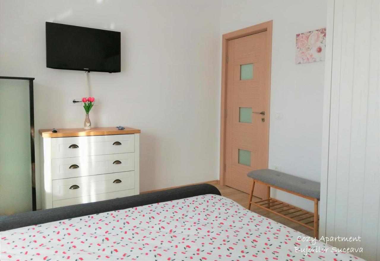 Cozy Apartment Bujorilor Suceava Luaran gambar