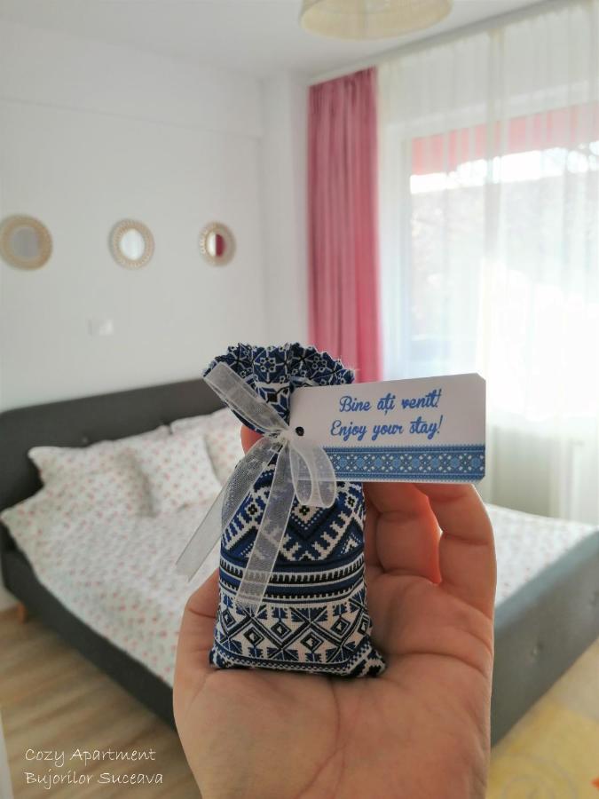 Cozy Apartment Bujorilor Suceava Luaran gambar