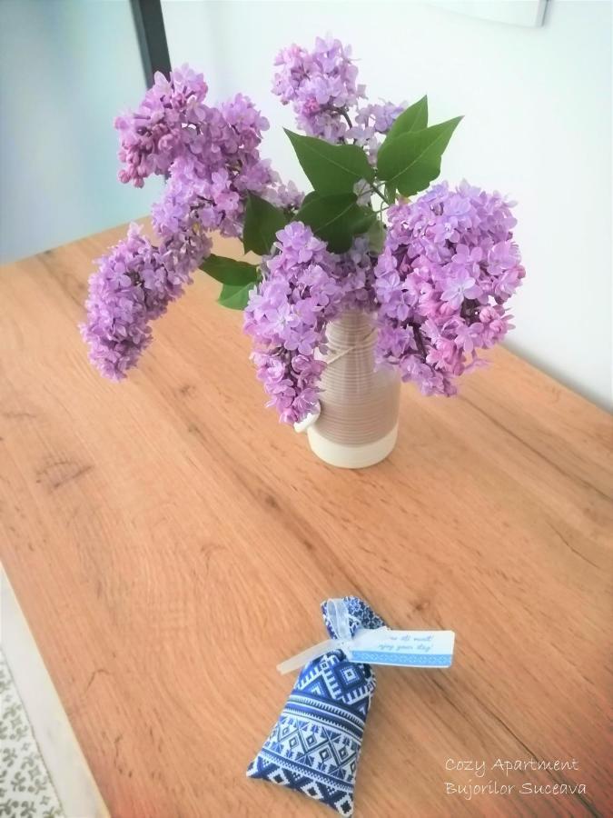 Cozy Apartment Bujorilor Suceava Luaran gambar
