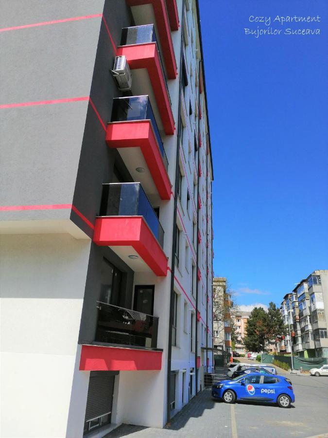 Cozy Apartment Bujorilor Suceava Luaran gambar