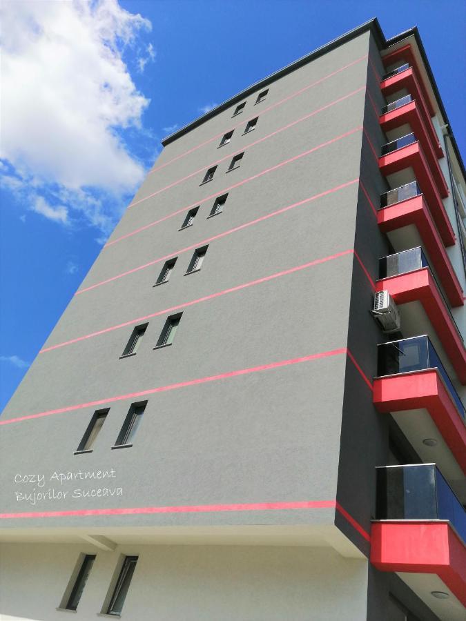 Cozy Apartment Bujorilor Suceava Luaran gambar