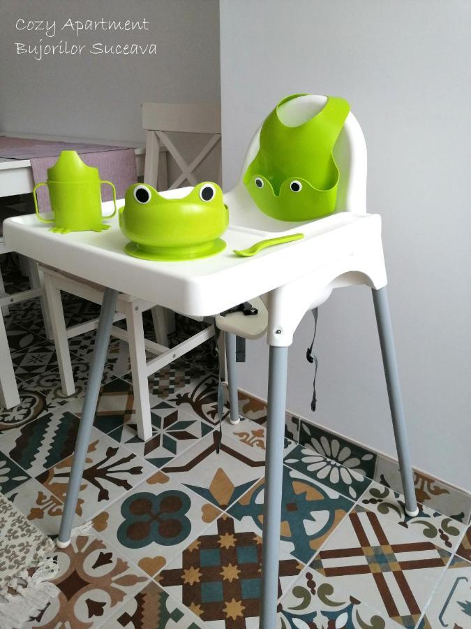 Cozy Apartment Bujorilor Suceava Luaran gambar