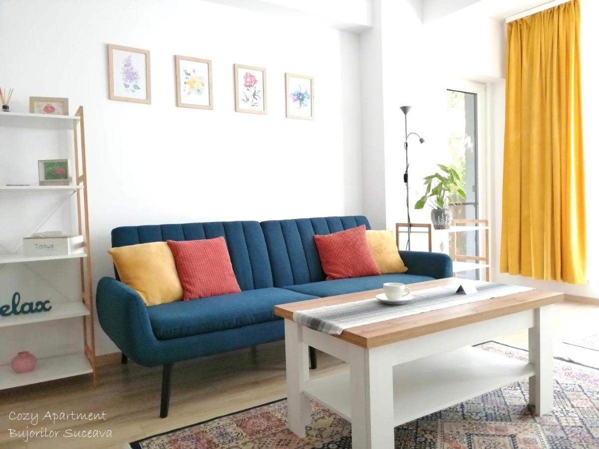Cozy Apartment Bujorilor Suceava Luaran gambar