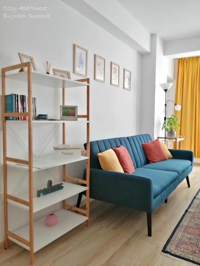 Cozy Apartment Bujorilor Suceava Luaran gambar